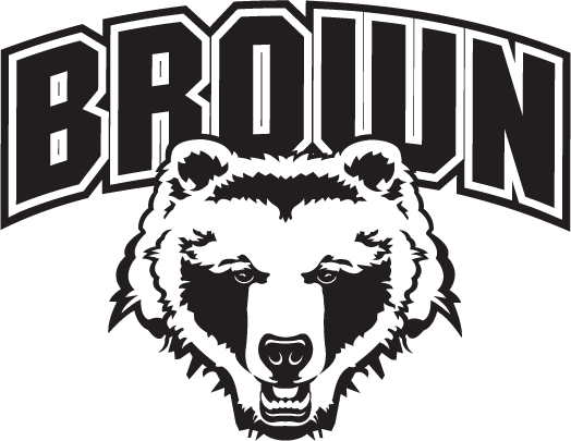 Brown Bears 1997-Pres Alternate Logo diy DTF decal sticker